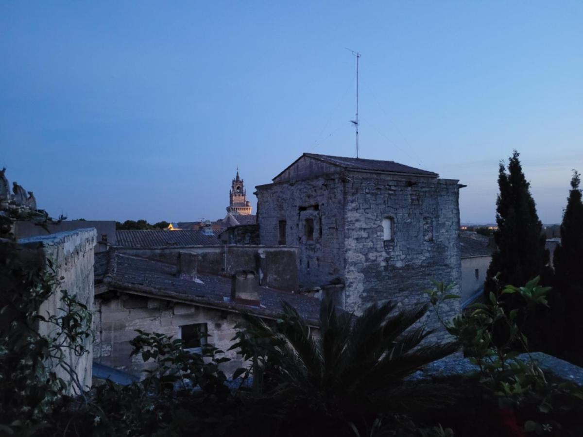 Un Nid Sur Les Toits Face Au Palais Des Papes Apartment Avignon Exterior photo