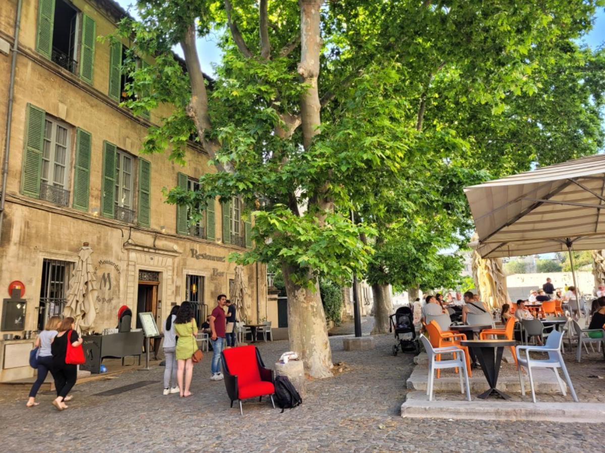 Un Nid Sur Les Toits Face Au Palais Des Papes Apartment Avignon Exterior photo