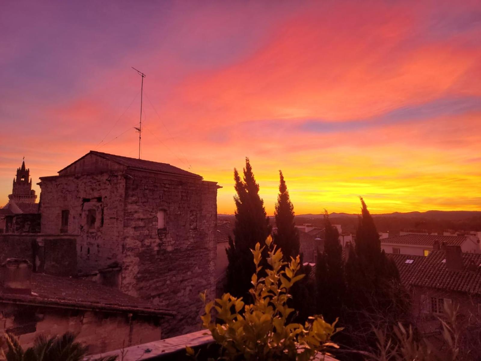 Un Nid Sur Les Toits Face Au Palais Des Papes Apartment Avignon Exterior photo